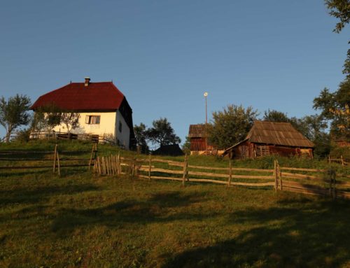 Dobrinka i Slavko Joksimović
